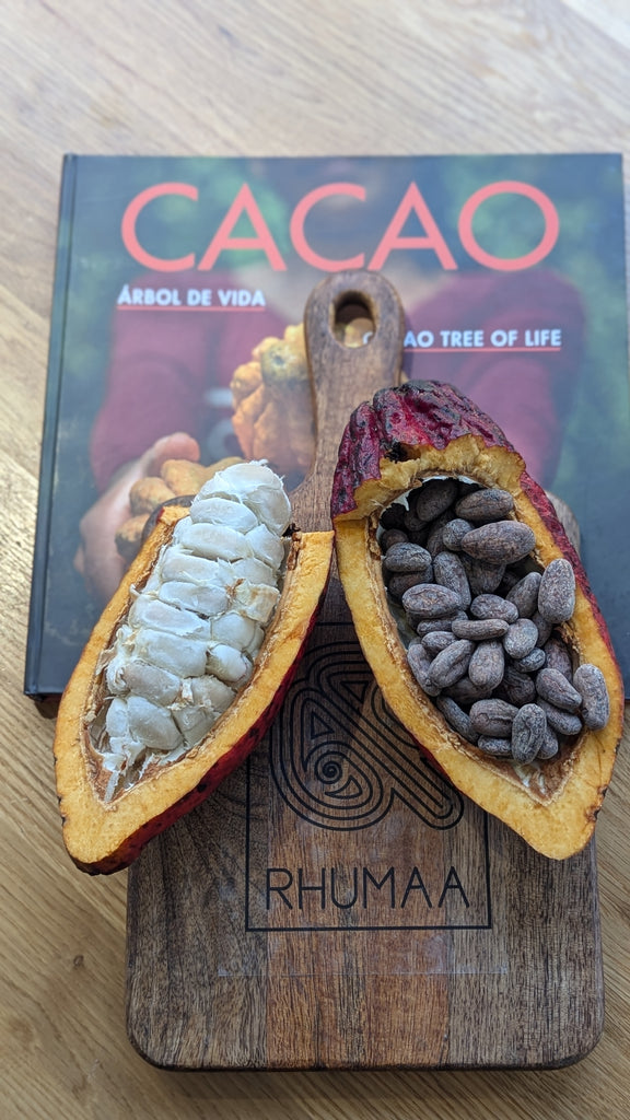 Guatemala CEREMONIAL GRADE COLD-PRESSED CACAO (400g)